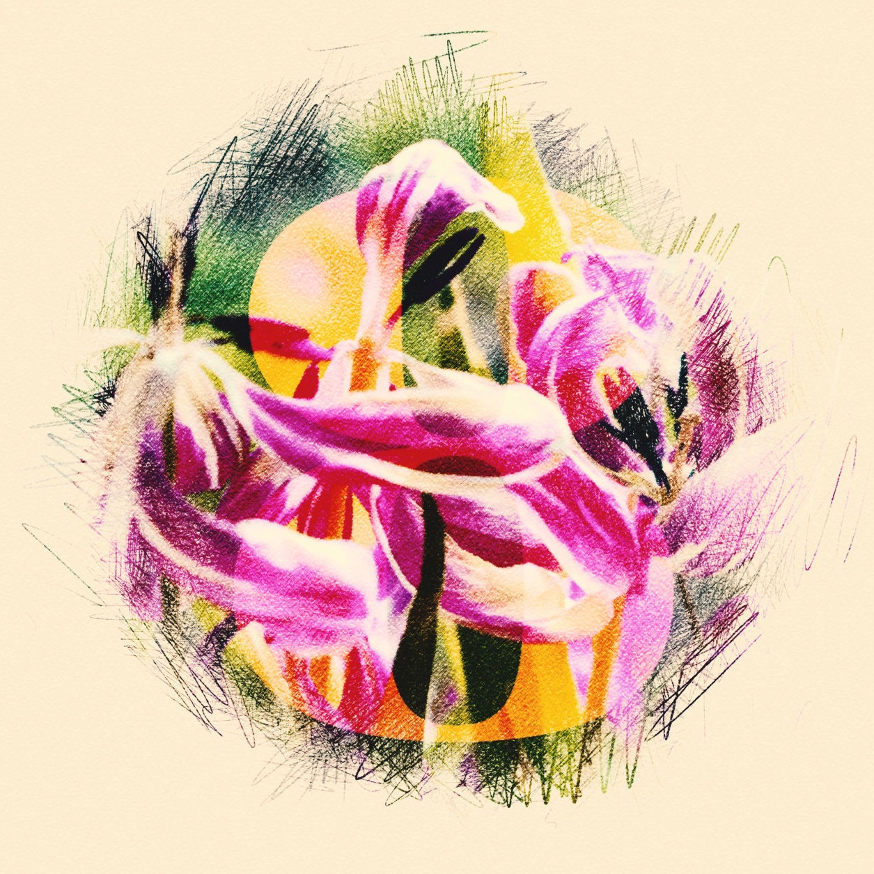 ©2022 Iris & Jochen Grün